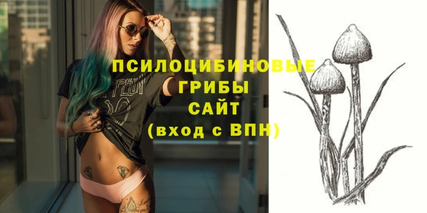PSILOCYBIN Кукмор