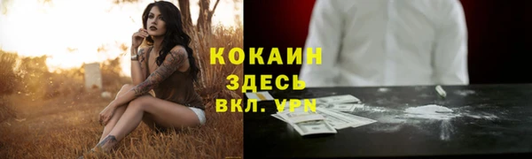 альфа пвп Куйбышев