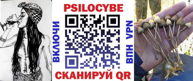 Псилоцибиновые грибы мицелий  магазин продажи   Урус-Мартан 