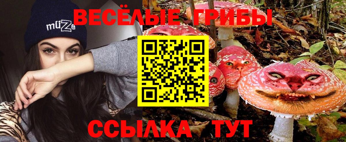 БУТИРАТ Урус-Мартан