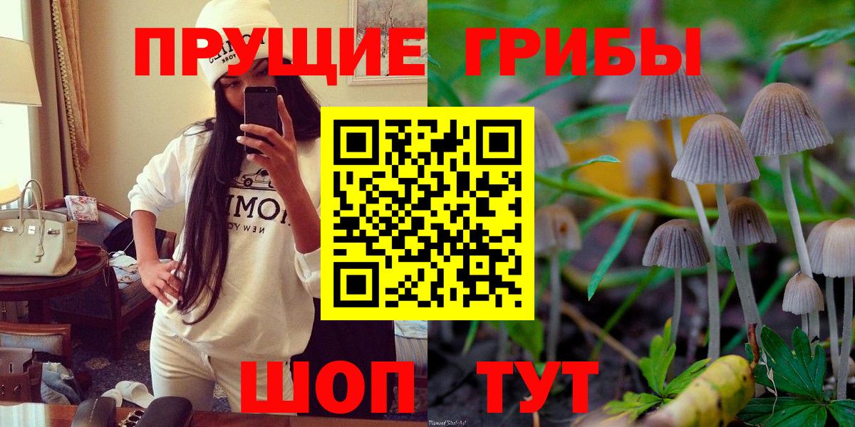 Псилоцибиновые грибы Psilocybe  Урус-Мартан 