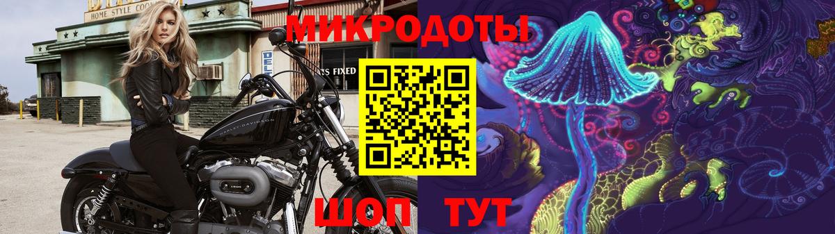 Галлюциногенные грибы Psilocybe Урус-Мартан