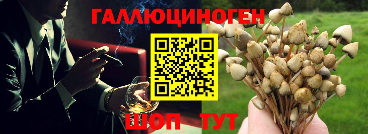 Галлюциногенные грибы прущие грибы  Псилоцибиновые грибы GOLDEN TEACHER  Урус-Мартан  Вход с VPN 